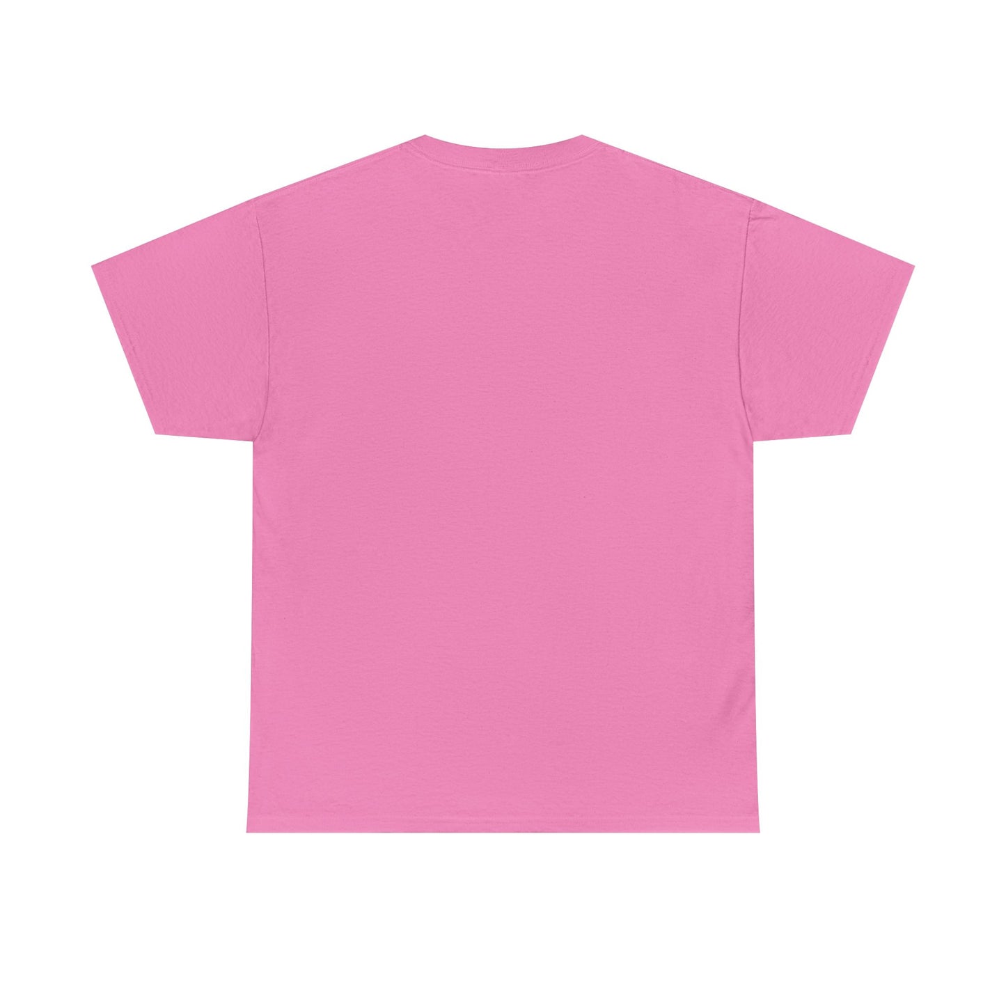Pride and Prejudice Pemberley Varsity T-Shirt