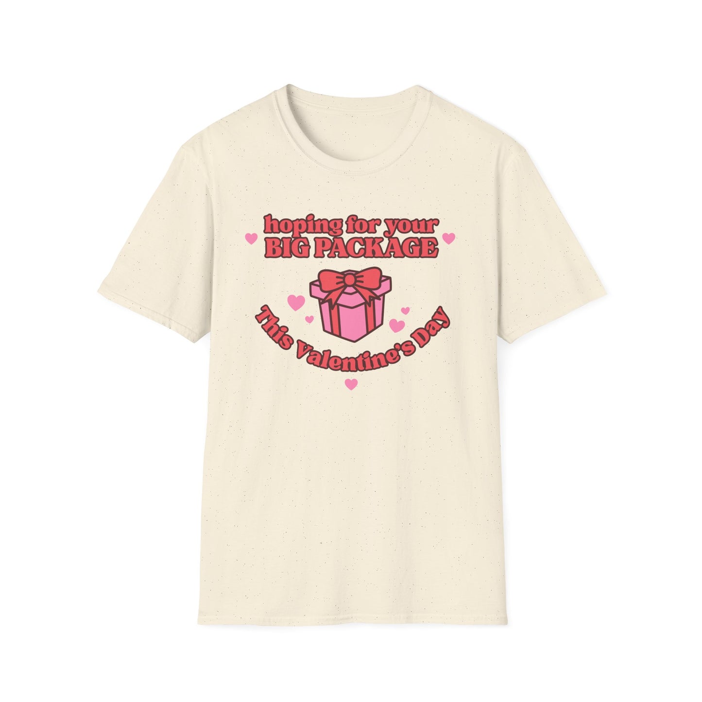 Hoping For Your Big Package T-Shirt
