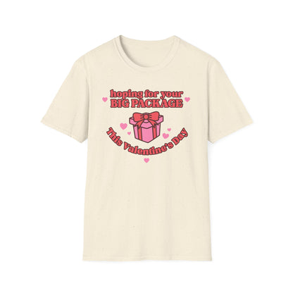 Hoping For Your Big Package T-Shirt
