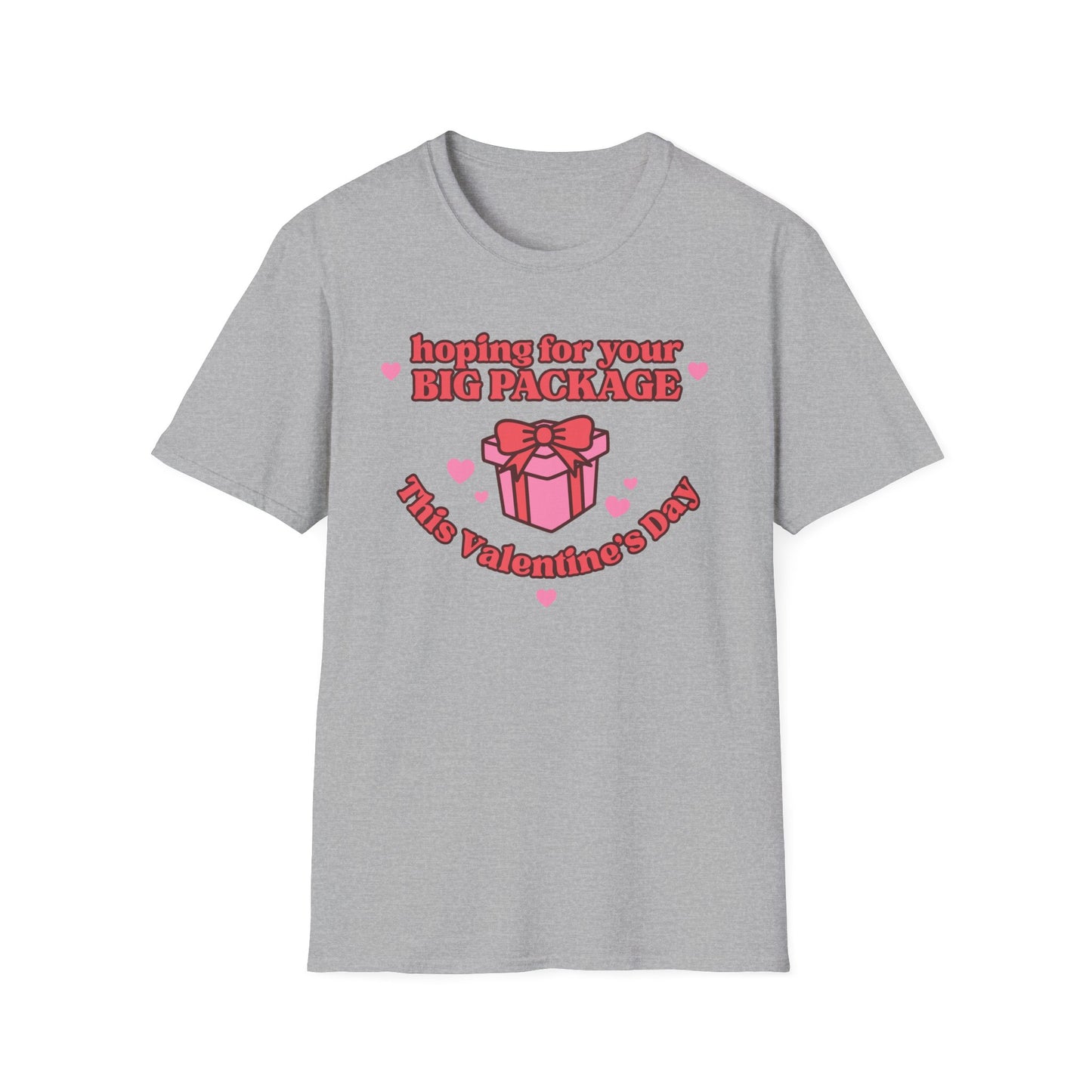 Hoping For Your Big Package T-Shirt