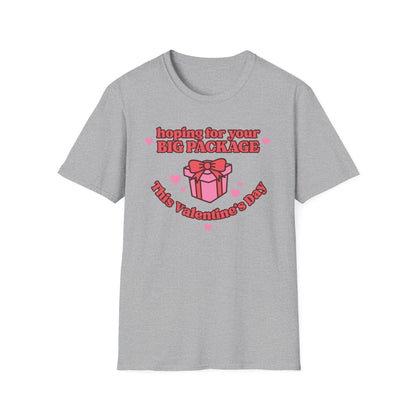 Hoping For Your Big Package T-Shirt